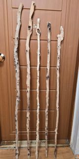 팜모닝 자유주제·자유게시판 게시글 이미지