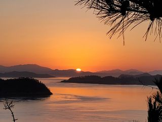 김영일님의 자유주제 · 자유게시판 작성글 사진