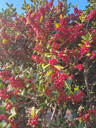 정상훈님의 자유주제 · 자유게시판 작성글 사진