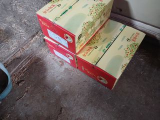 알 수 없음님의 자유주제 · 자유게시판 작성글 사진