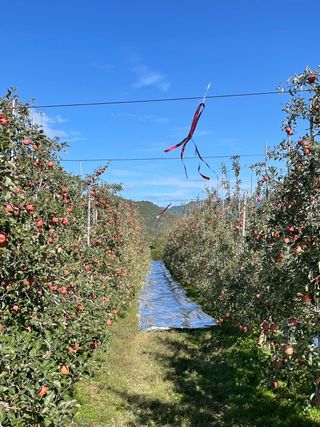 조순자님의 작성글 사진