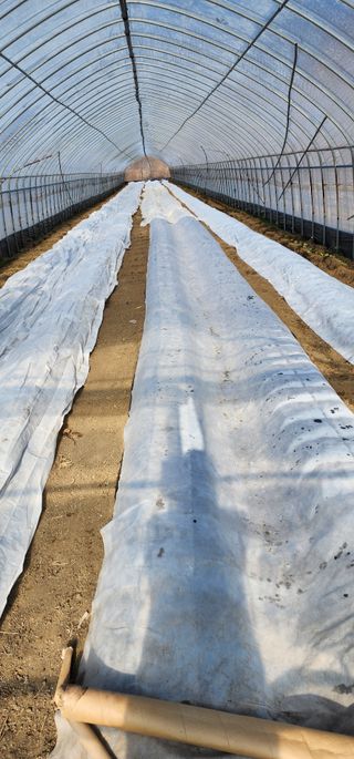 강인석님의 자유주제 · 사진전 작성글 사진