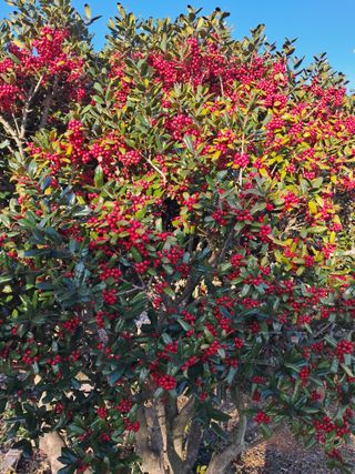 정상훈님의 자유주제 · 자유게시판 작성글 사진