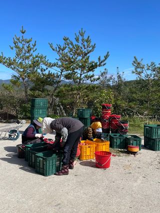 조순자님의 작성글 사진