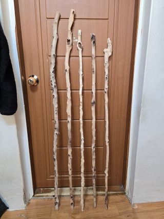 김대기님의 자유주제 · 자유게시판 작성글 사진