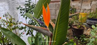 달맛햇복숭아농원님의 자유주제 · 사진전 작성글 사진