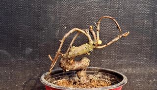 이정운님의 자유주제 · 자유게시판 작성글 사진