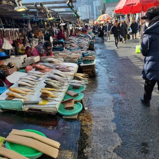 정연섭님의 자유주제 · 자유게시판 작성글 사진