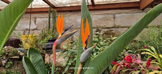 달맛햇복숭아농원님의 자유주제 · 사진전 작성글 사진