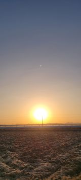 팜모닝 2025년 새해 일출 보셨나요?·참여글 게시글 이미지