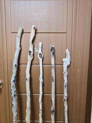 김대기님의 자유주제 · 자유게시판 작성글 사진