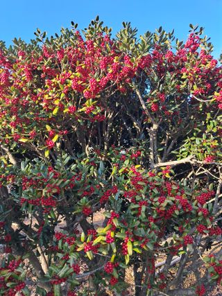 정상훈님의 자유주제 · 자유게시판 작성글 사진