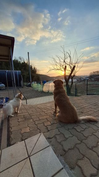 bpjh9173님의 2025년 새해 일출 보셨나요? · 참여글 작성글 사진