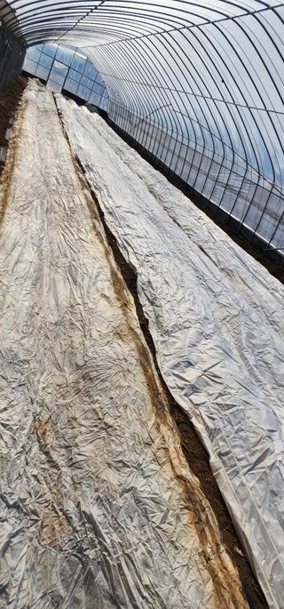 강인석님의 자유주제 · 사진전 작성글 사진