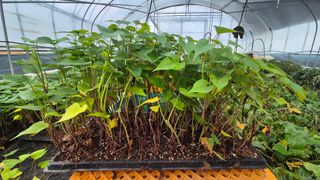 김동수님의 자유주제 · 자유게시판 작성글 사진