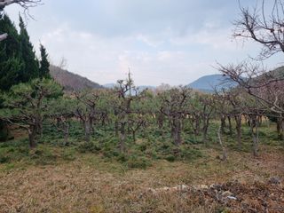 양영모님의 자유주제 · 자유게시판 작성글 사진