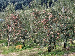 산신님의 작성글 사진