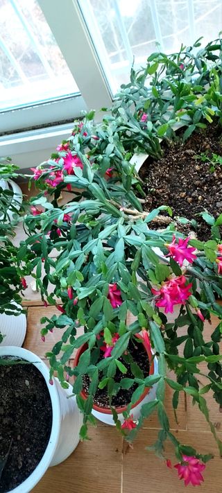 안재성님의 자유주제 · 사진전 작성글 사진