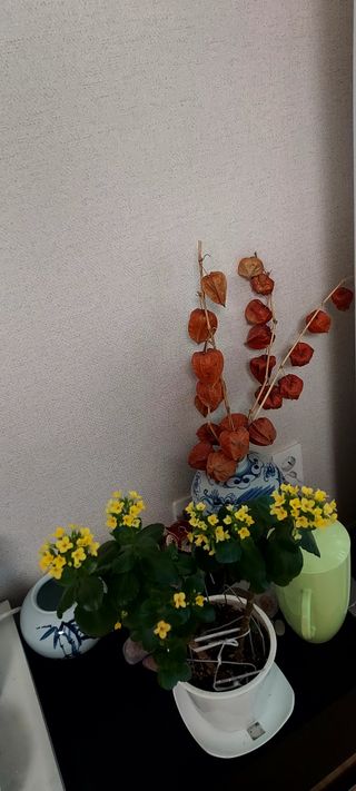 안재성님의 자유주제 · 사진전 작성글 사진