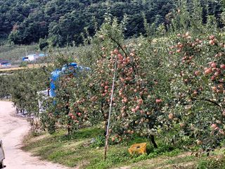 산신님의 작성글 사진
