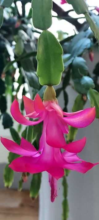 안재성님의 자유주제 · 사진전 작성글 사진