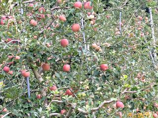 산신님의 작성글 사진