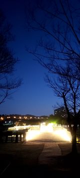 팜모닝 자유주제·사진전 게시글 이미지