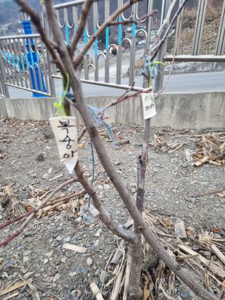 김용대님의 자유주제 · 자유게시판 작성글 사진