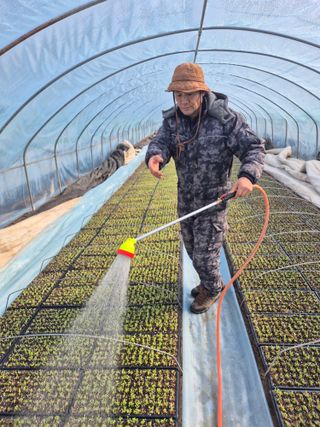 병풍취산채농원님의 자유주제 · 자유게시판 작성글 사진
