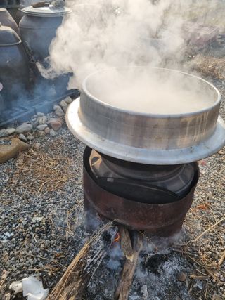 진여화 농원님의 자유주제 · 자유게시판 작성글 사진