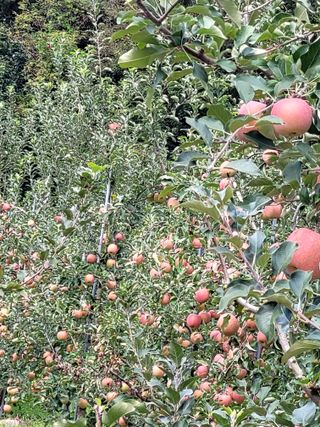 산신님의 작성글 사진