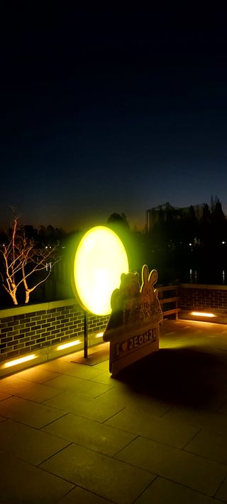 안재성님의 자유주제 · 사진전 작성글 사진