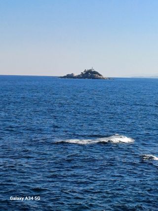 홍순오님의 다가오는 대한, 농가의 혹한 대비 어떻게 하고 계신가요? · 참여글 작성글 사진