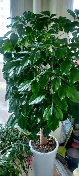 안재성님의 자유주제 · 사진전 작성글 사진