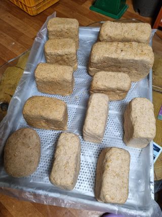 진여화 농원님의 자유주제 · 자유게시판 작성글 사진