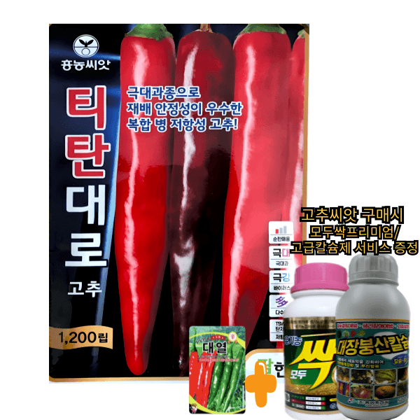 대산농사대장님의 장터 판매 상품 [티탄대로 1200립 복합내병계  극대과 극조생] 첨부 사진