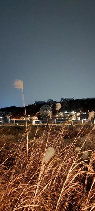 안재성님의 자유주제 · 사진전 작성글 사진