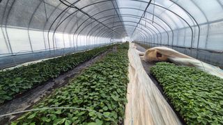 김동수님의 자유주제 · 자유게시판 작성글 사진