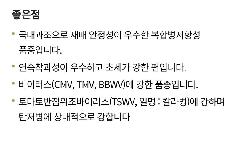 대산농사대장님의 장터 판매 상품 [티탄대로 1200립 복합내병계  극대과 극조생] 첨부 사진