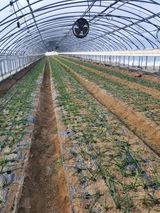 팜모닝 자유주제·자유게시판 게시글 이미지