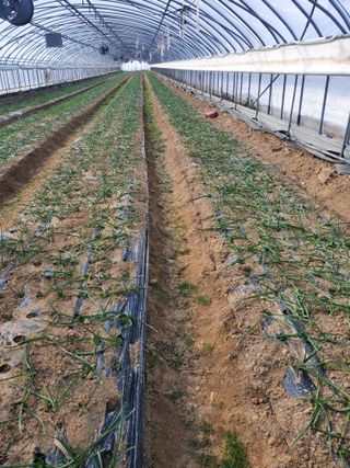 서정훈 님의 자유주제 · 자유게시판 작성글 사진