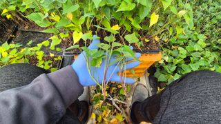 김동수님의 자유주제 · 자유게시판 작성글 사진