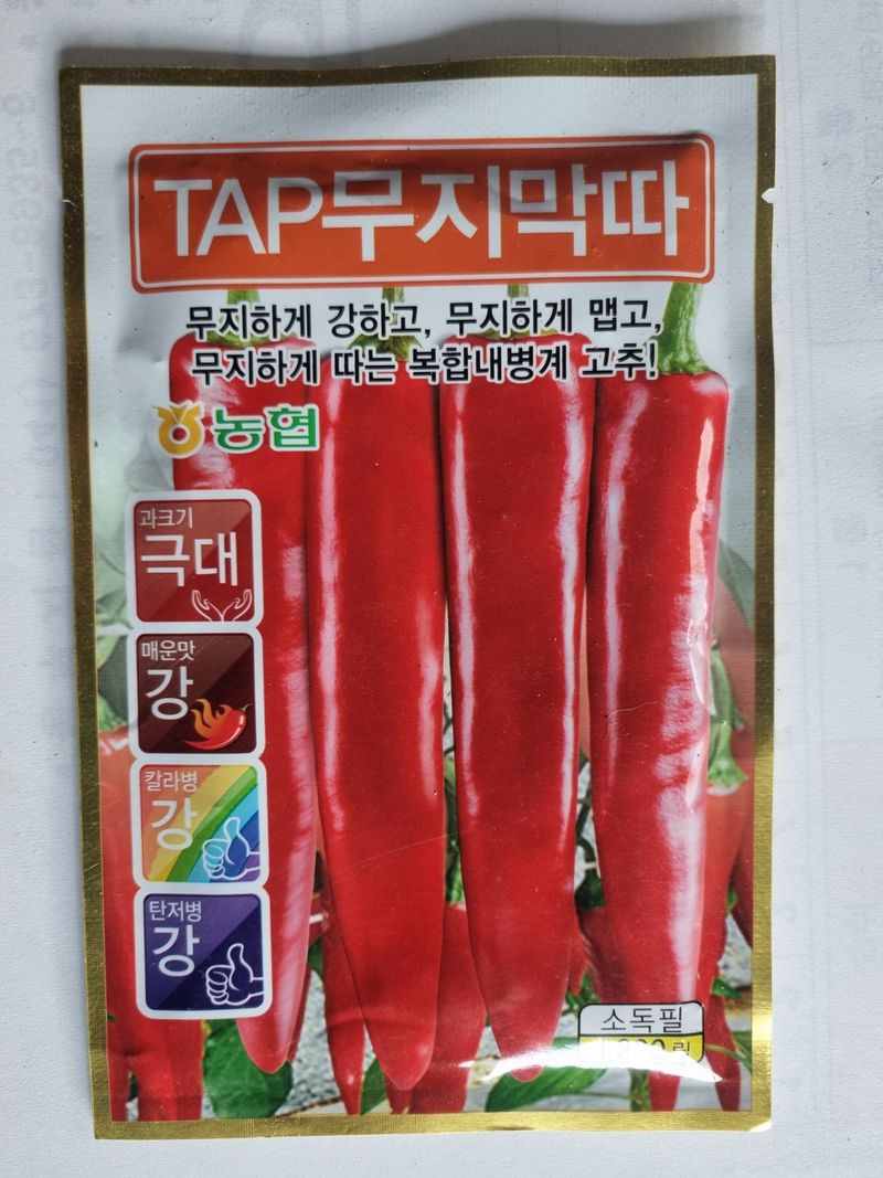 공석래님의 장터 판매 상품 [고추종자 재고판매] 첨부 사진