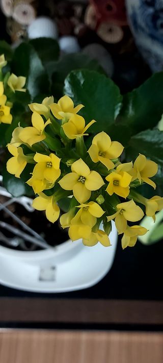 안재성님의 자유주제 · 사진전 작성글 사진