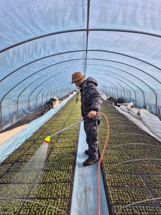 병풍취산채농원님의 자유주제 · 자유게시판 작성글 사진