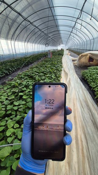 김동수님의 자유주제 · 자유게시판 작성글 사진