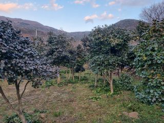 양영모님의 자유주제 · 자유게시판 작성글 사진