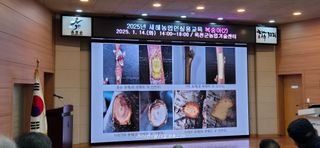 달맛햇복숭아농원님의 자유주제 · 사진전 작성글 사진