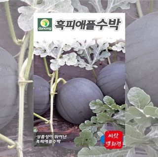 대산농사대장님의 기타작물 · 자유게시판 작성글 사진