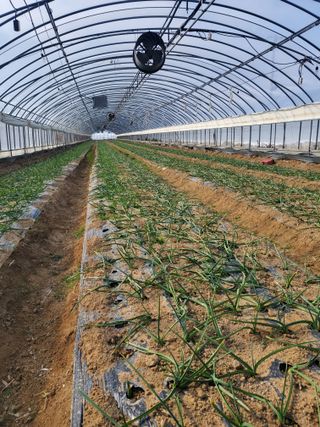 서정훈 님의 자유주제 · 자유게시판 작성글 사진